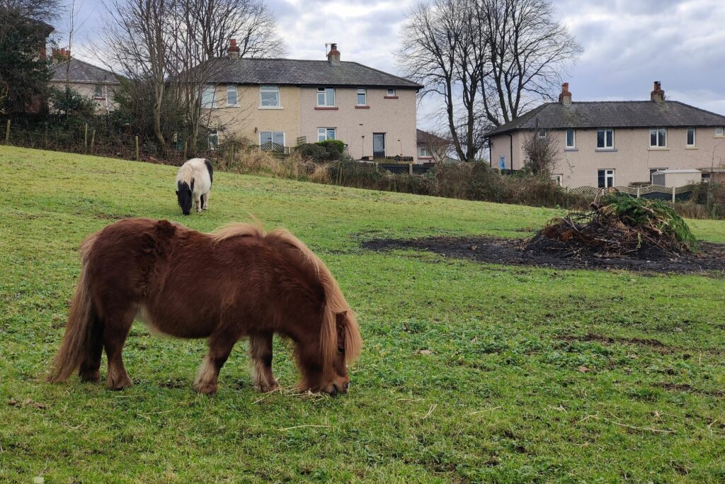 Daisyfield, Green Lane, Lancaster LA1 2ER