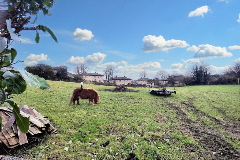 Daisyfield, Green Lane, Lancaster LA1 2ER